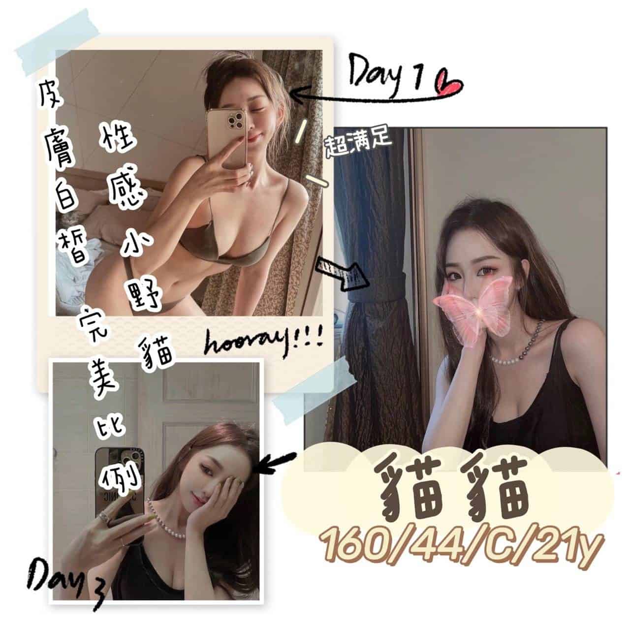 桃園VIP外約-貓貓